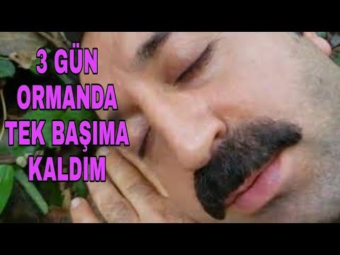 Ormanda 3 Günlük Sirdan Aldım Rüyamda Sirdanimi Çaldılar