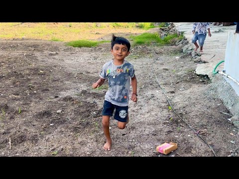 माऊलीला घराजवळ खेकडा दिसला 😳