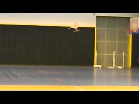 ce matin le 1/2/2015 vol de l ulm de lionel mlinaric