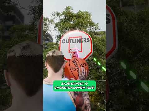 Zajímavost o basketbalovém koši #pandaaashorts #shorts