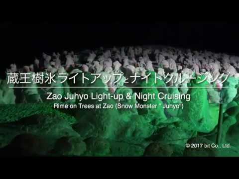 Zao Juhyo Light-up &amp; Night Cruising
