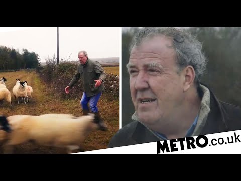 Jeremy Clarkson struggles to hold back tears as he’s forced to kill three injured sheep in ‘tragic’
