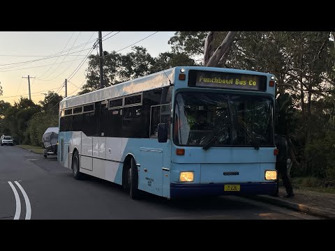 Farewell Punchbowl Bus Company Region 5