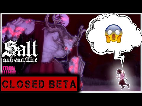 Salt and Sacrifice Boss Tutorial[No DAMAGE] Closed Beta