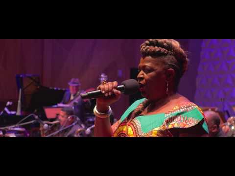 Conheça Tânia Amorim, cantora que alia combate ao racismo e MPB há 36 anos