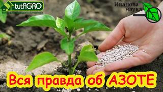 🔥 Азот в лицах: КАКОЕ удобрение выбрать и не сжечь грядки? Правильный АЗОТ: к