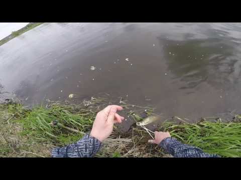 Plavaná na Berounce - větrný den u vody