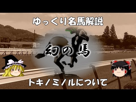 モーリス・ノヴァリーナについて詳しく解説