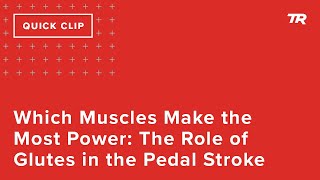 Which Muscles Make the Most Power: The Role of Glutes in the Pedal Stroke (Ask a Cycling Coach 201)