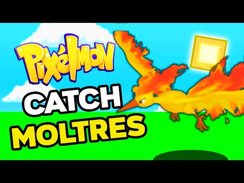 How to Find Moltres in PIXELMON Reforged 9.1.13!