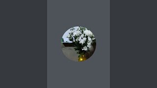 27.8.2026 (4:30)