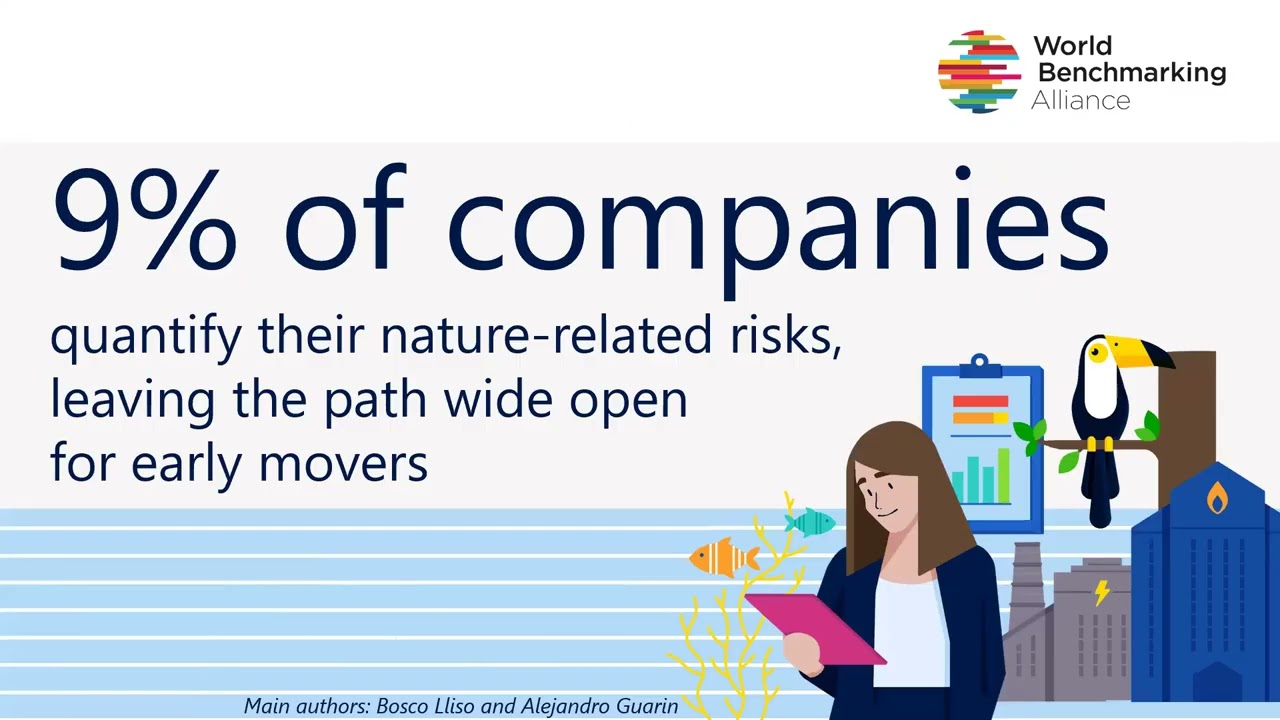 WBA Global Webinar - The state of global corporate accountability
