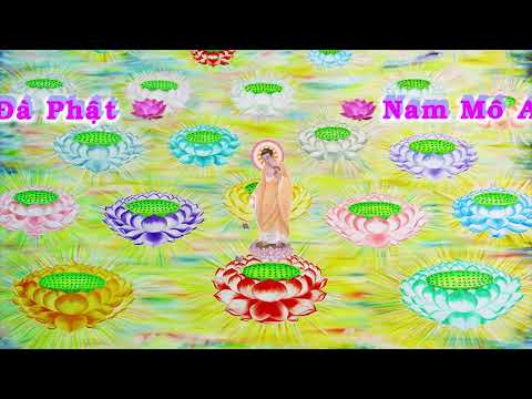 HD | Kinh A Di Đà Sớ Sao Diễn Nghĩa, tập 192 [phụ đề] - Lão Pháp Sư Tịnh Không