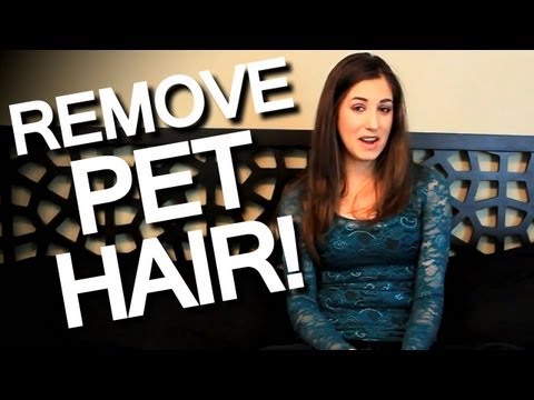 How to Remove Pet Hair Off Furniture, Clothing and Linens! Easy Cleaning Ideas! (Clean My Space)