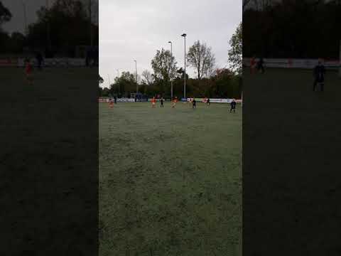 Lewenborg - DVC JO8-1