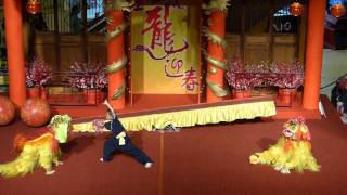 North Lion Dance by Ipoh Chin Woo