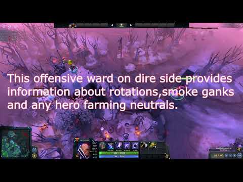 Warding as Radiant(Basic) DOTA 2 7.23b