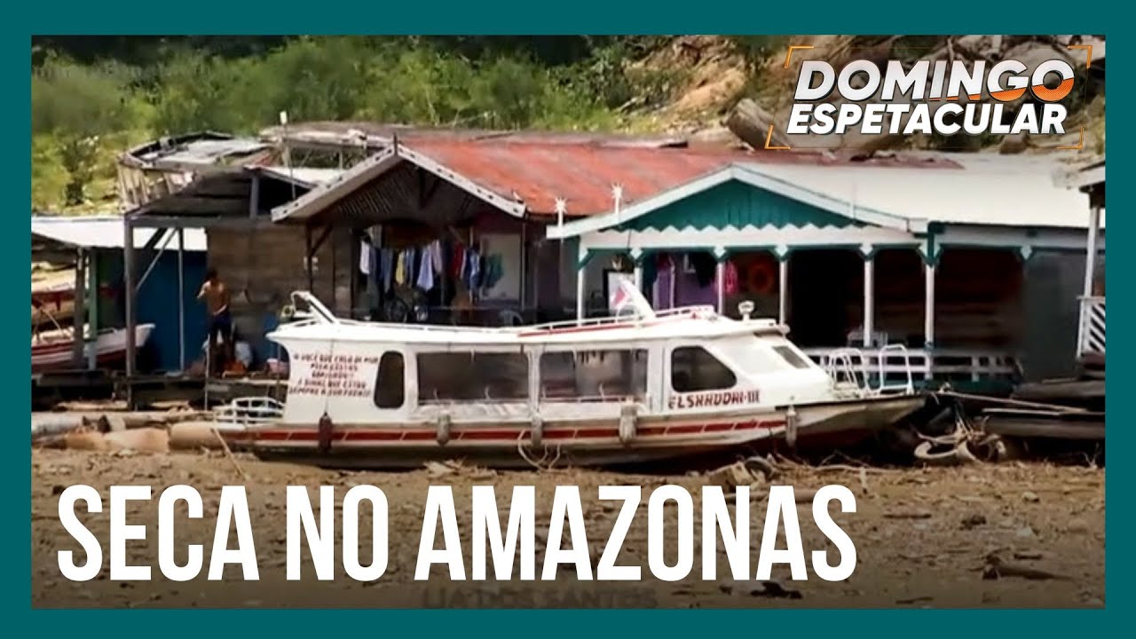 Cidades do Amazonas sofrem as consequências de seca fora do comum