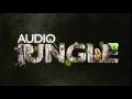 Sound Applause In Circus AudioJungle
