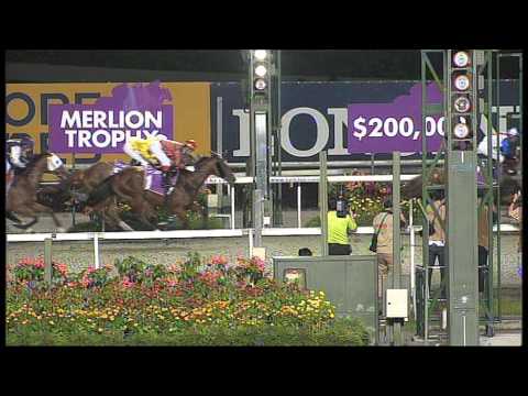 SRA 2013 (Horse of the Year - Super Easy)