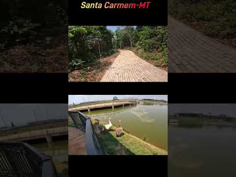 Santa Carmem MT #santacarmem #viralshortsvideo