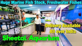 You Won't Believe the AMAZING Marine Fish Now Available in India I Sheetal Aquarium