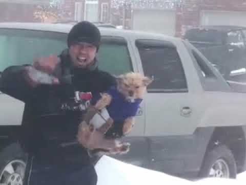 Oklahoma Blizzard 2009 - Dec. 24, 2009 - Norman, Oklahoma (2009-12-25)