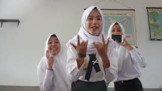 Download lagu Story' wa Jawa lucu  manuk'e cilik....😂😂😂 mp3
