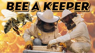 The Beekeeping Process: From Hive to Honey Jar
