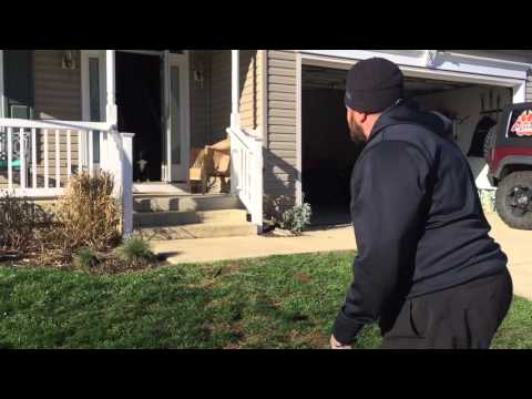 Is This How Your Dog's Door Manners Are? Dog Manners In Virginia