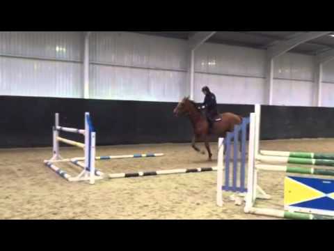 BLM DU Rouets Irish Envoy