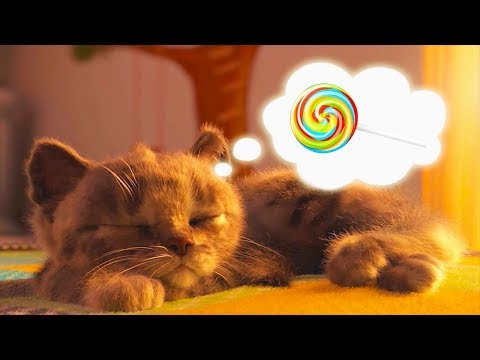 Little Kitten Preschool Adventure Educational Kids Game - My Favorite Cat Pet Care Learning Games