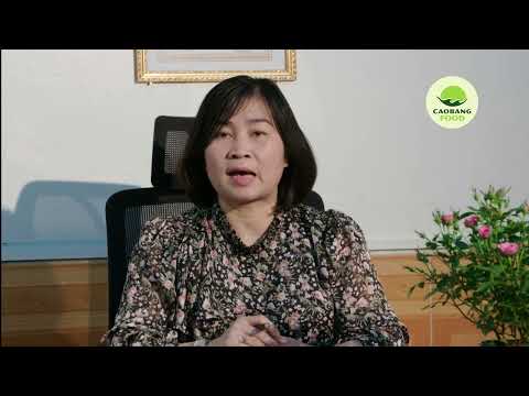 Quá trình phát triển của CAOBANG FOOD