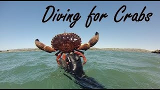 Catch and Cook CRAB DIVE - SF Fishing Trip Part 2