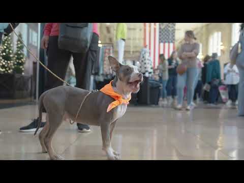 Tickets On Sale Now - KC Love Event - February 15th &16th