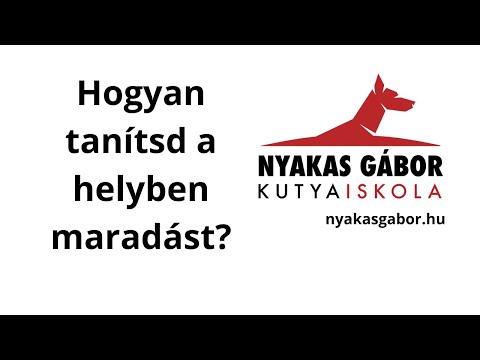 hosszú távú helmintus invázió tulajdonságok platyhelminthes yahoo