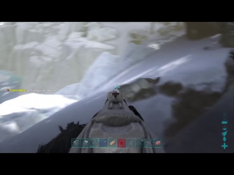 Dire Wolf And Bear Taming// Ark Survival Evolved