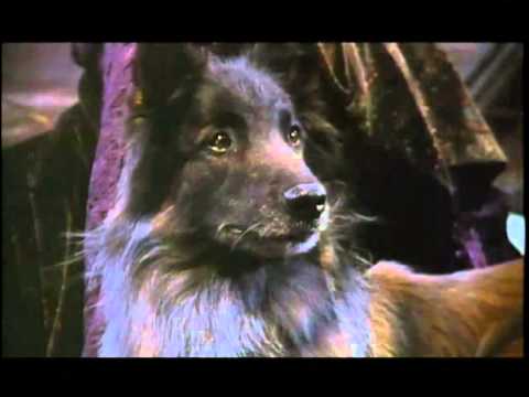 Video $Woman of the Wolf
