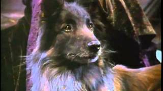 Woman of the Wolf Alex Kingston