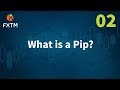 What is a Pip? | FXTM Learn Forex in 60 Seconds