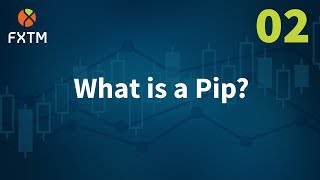 What is a Pip?