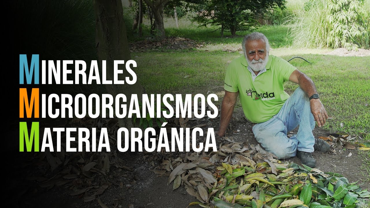 ENTENDER LA AGRICULTURA ORGÁNICA (Las 3 M's y La Geoevolución) | Jairo Restrepo Rivera