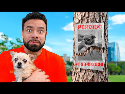 Danny Fitt and 3 more