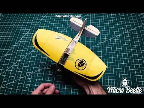 Worlds Smallest Flying Machine - Micro Beetle Yellow Jacket