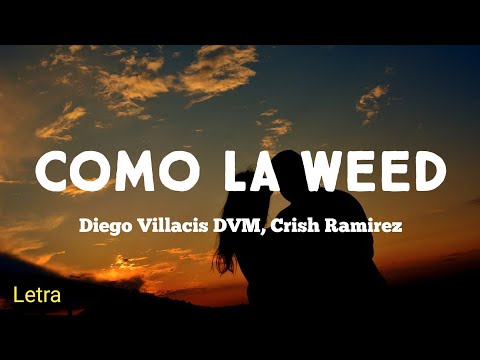 COMO LA WEED - Diego Villacis DVM, Crish Ramirez (Letra)