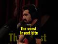 The worst insect bite 🐜 #paulrosolie #joerogan #podcast #amazon #insects #bite #caterpillar