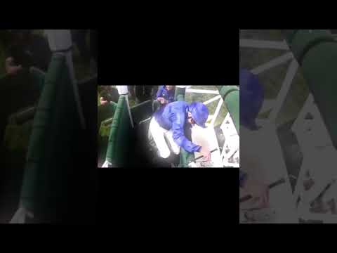 Horse racing edit I horse races by itself 🔥🐎⚡️💫