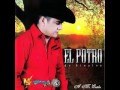 El Potro De Sinaloa - Angelito De Dios