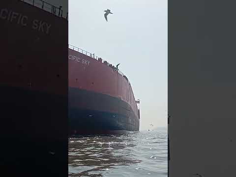 Thumbnail for Pacific Sky Kemari Karachi