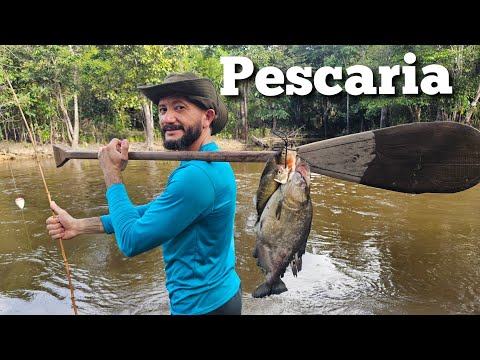 Jamys Rodrigues  and Gil Trindade. Vida Selvagem na Amazônia
